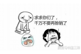 北票企业清欠服务